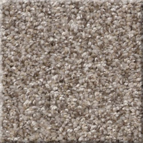 Transcend in Glacier Carpet