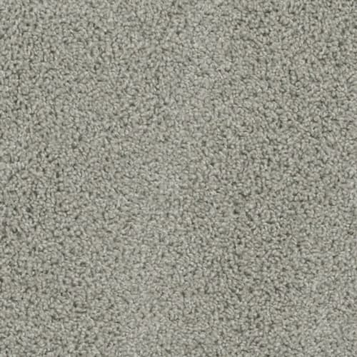 Tracker in Dove Carpet