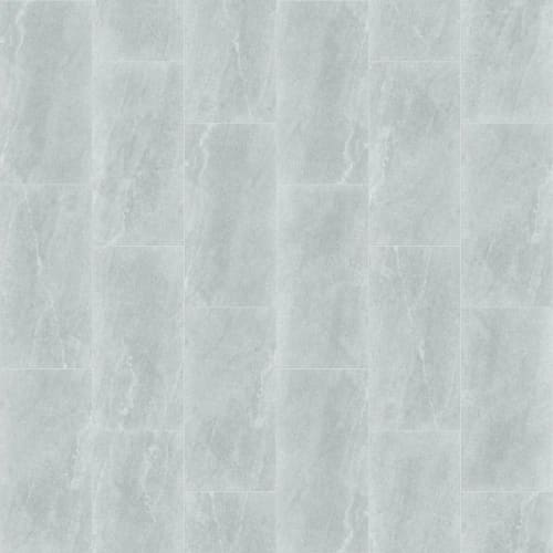 ARENA 12X24 in Silver