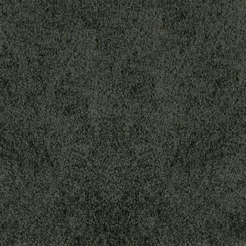 Noble in Hunter Carpet