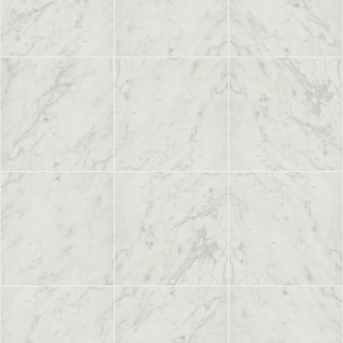 PRIME AURA 24X24 MATTE in Carrara Abisso Tile
