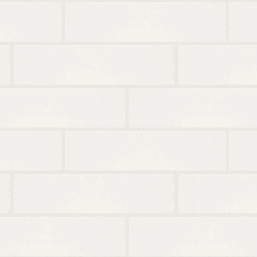 COASTAL PROSPECT 4X16 GLOSS in Ivory Tile