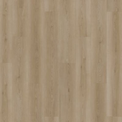 Hamilton Grove in Holland Luxury Vinyl