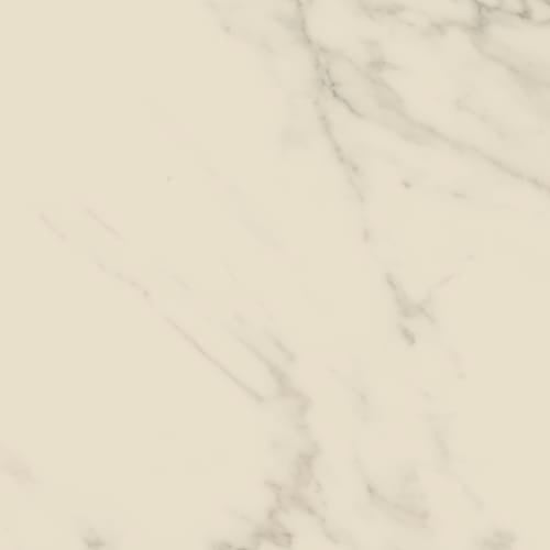 Access Point in Statuario White Tile