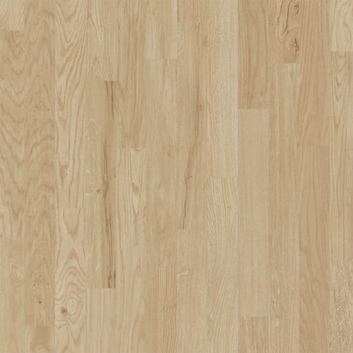 Atmosphere in Super Nova Luxury Vinyl