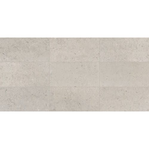 Center City™ in Delancey Grey 24x24 Polished Field Tile