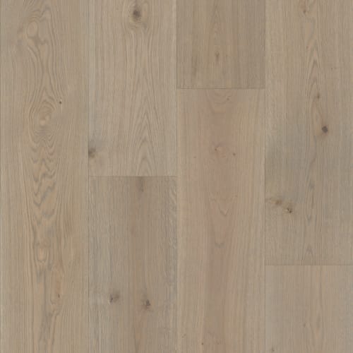Artisan 8" in Portico