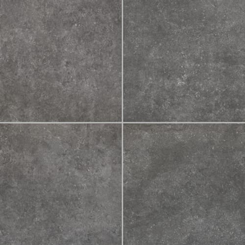 Historic Limestone in Legacy-12x24-Matte Tile