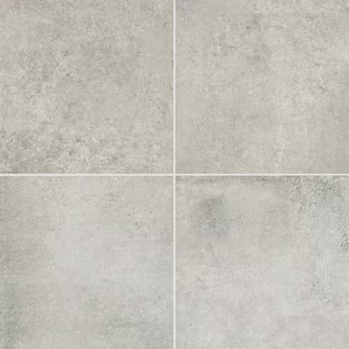 Historic Limestone in Lineage-24x48-Matte Tile