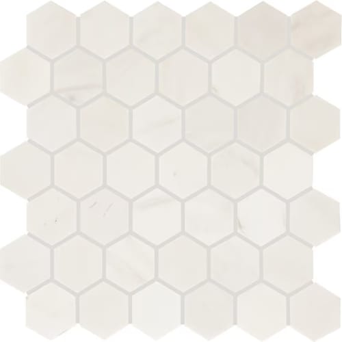Eclessia Marble in Pacifica Hexagon Natural Stone