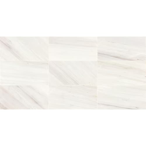 Eclessia Marble in Pacifica Rectangle Honed Natural Stone