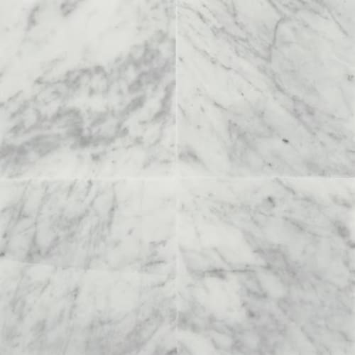 Marble in Carrara White-12x24-Honed Natural Stone