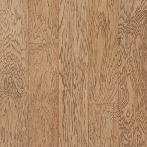Monte Carlo in Giacomo Hardwood