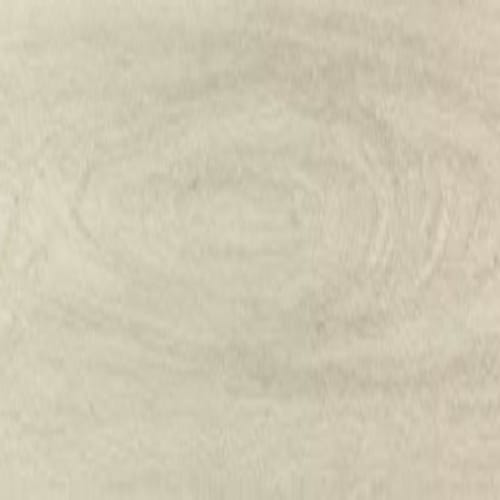 ProSeries - Pines Terrace - 8 mil in Birch Luxury Vinyl