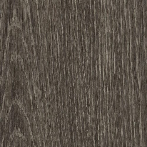 SYMBIOTIC 20 in Carbon