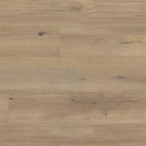 Korlok Select in Canadian Urban Oak 9 x 56