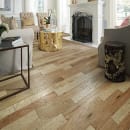 FREMONT HICKORY in Honey Glow Hardwood