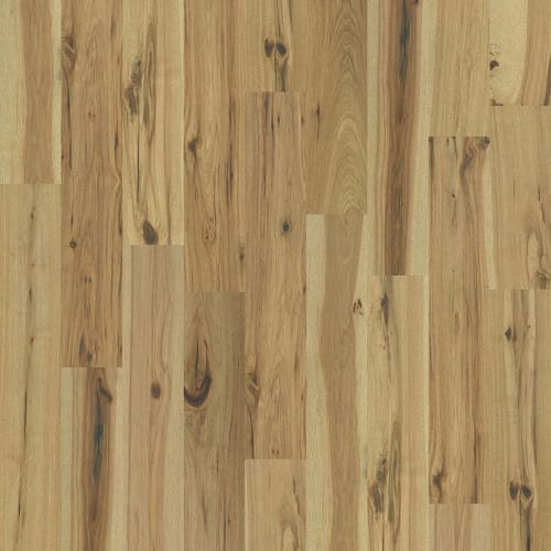 REFLECTIONS HICKORY in Luminous