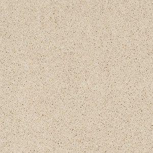 Enduring Comfort III in Candlewick Glow Carpet