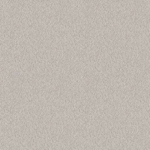 Alluring Canvas