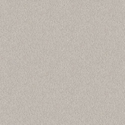 Alluring Canvas