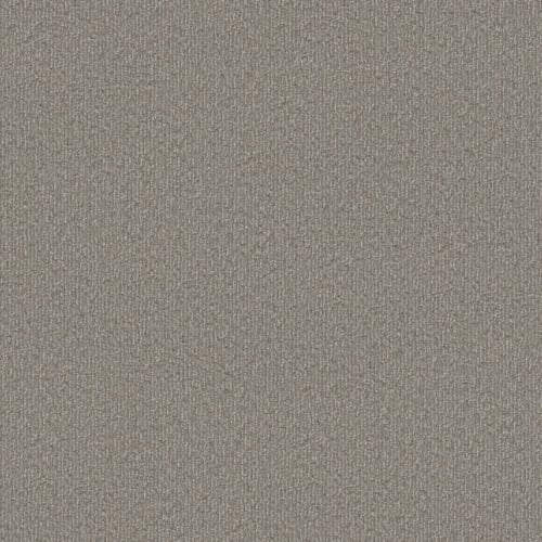 Clever Blend in River Birch Carpet