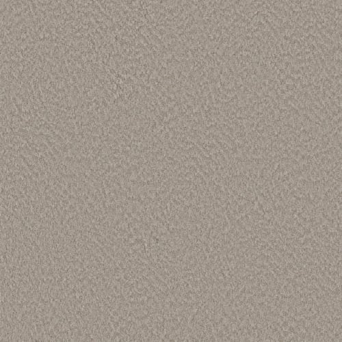 Alluring Canvas