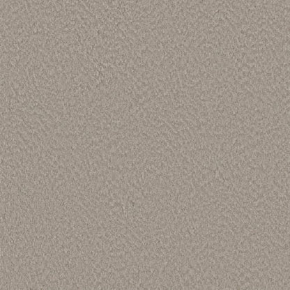 Alluring Canvas