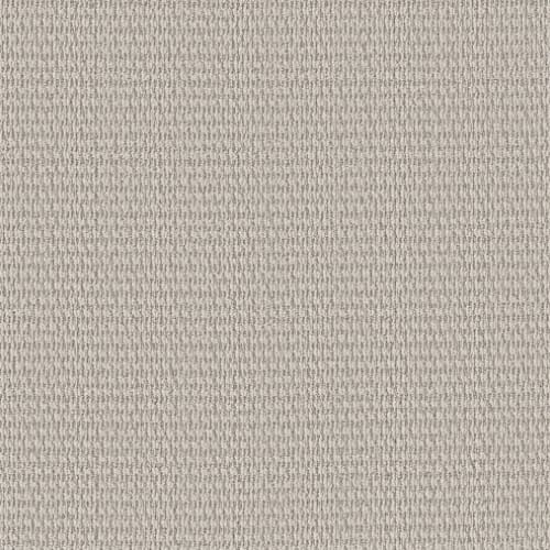 Cozy Embrace in Marble Carpet