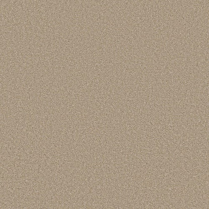 Trusolutions I