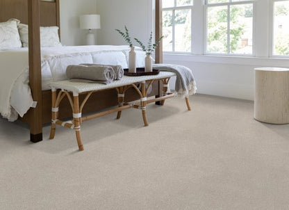 Vivid Touch Ii in Beige Mist Carpet