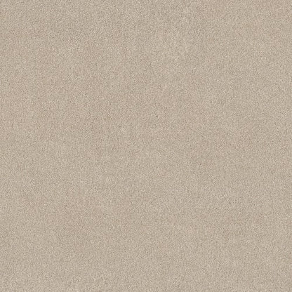 Pure Affection T in Cafe Latte Carpet
