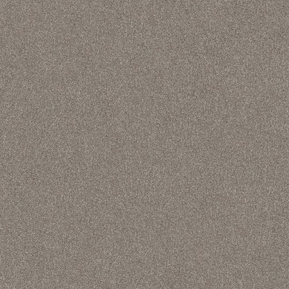 Go After It 1 in Winter Dunes Carpet