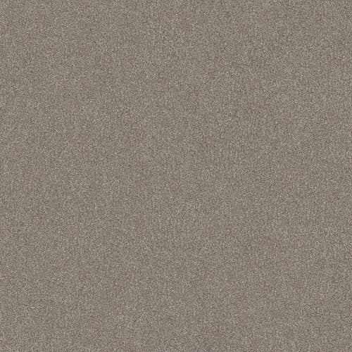 Go After It 1 in Winter Dunes Carpet