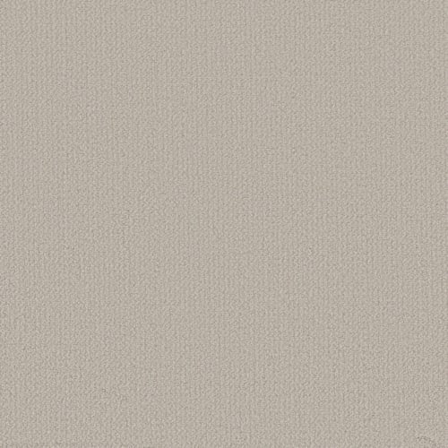 Alluring Canvas