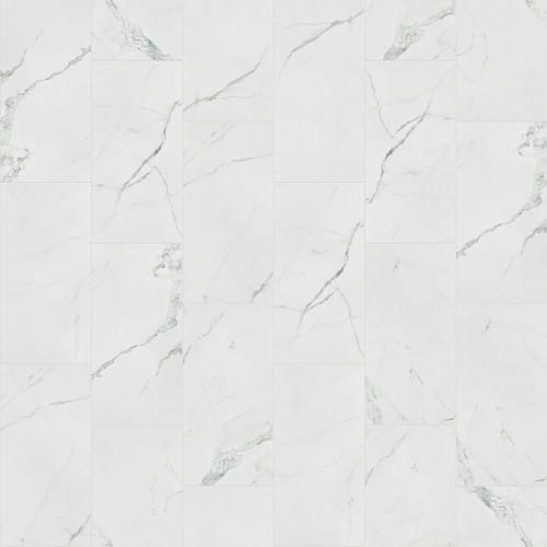 VISION 12X24 MATTE in Statuario