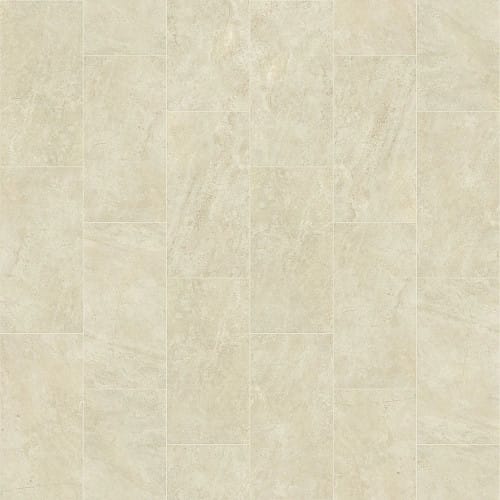 VISION 12X24 MATTE in Allure