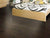 Biscayne Bay in Bayfront Hardwood
