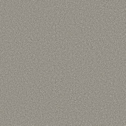 Trusolutions I in Concrete Carpet