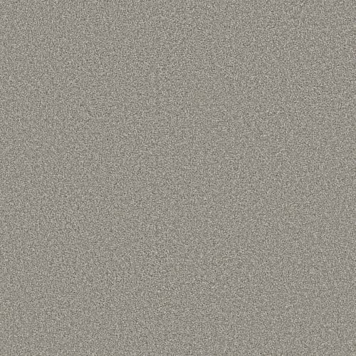 Trusolutions I in Concrete Carpet