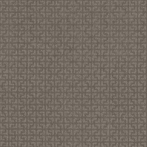Vastly in Iced Mocha Carpet