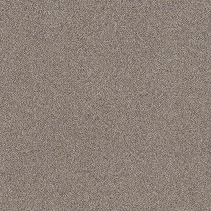 TRUSPLENDOR
