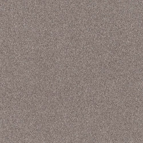 TRUSPLENDOR in Stainless Carpet