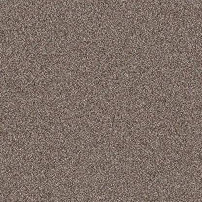 American Spirit in Cobble Drive Carpet