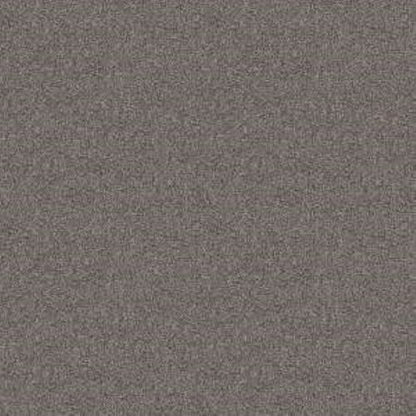 TAKE AWAY (T) in Truffle Carpet