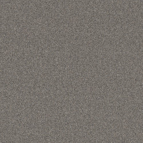 Bold Move Plus in Galaxy Carpet