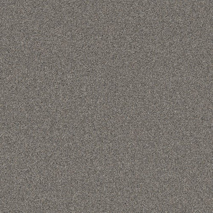 Bold Move Plus in Galaxy Carpet