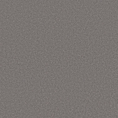 Blended Touch Ii in Gray Granite Carpet