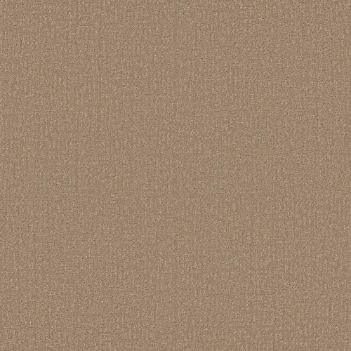 Clever Design in Worn Path Carpet