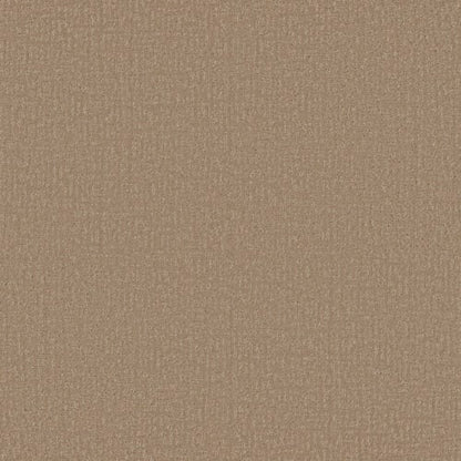 Clever Design in Worn Path Carpet